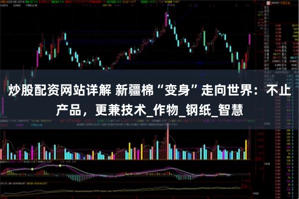 炒股配资网站详解 新疆棉“变身”走向世界：不止产品，更兼技术_作物_钢纸_智慧